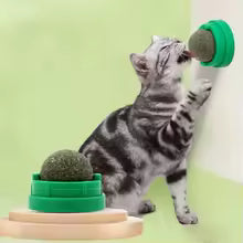 Calm Claws Catnip Treat Ball