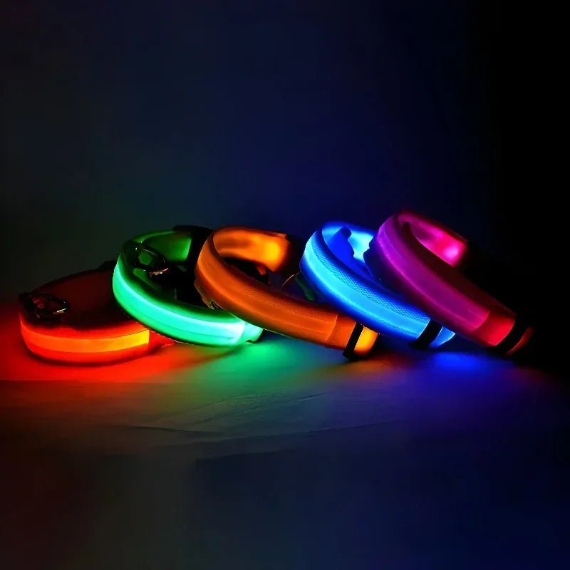 Paw Beacon Glow Dog Collar