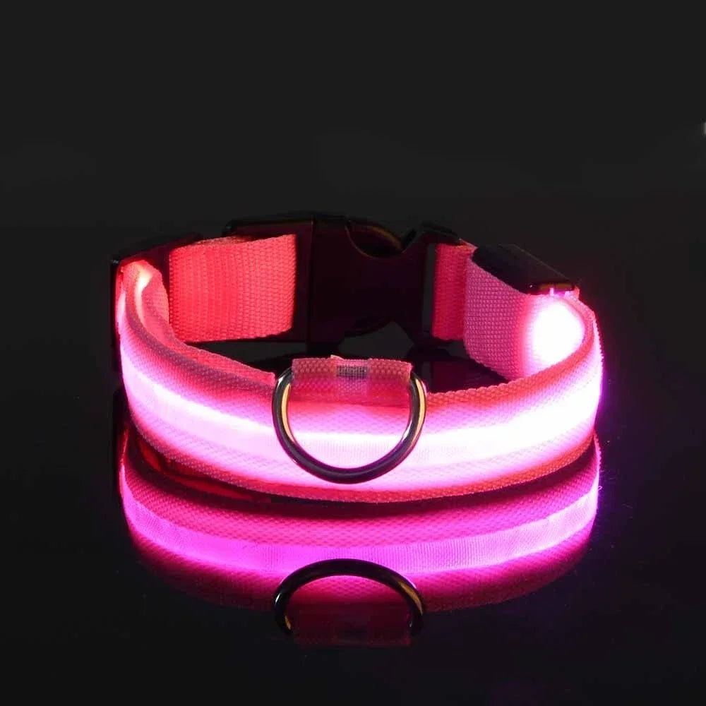 Paw Beacon Glow Dog Collar