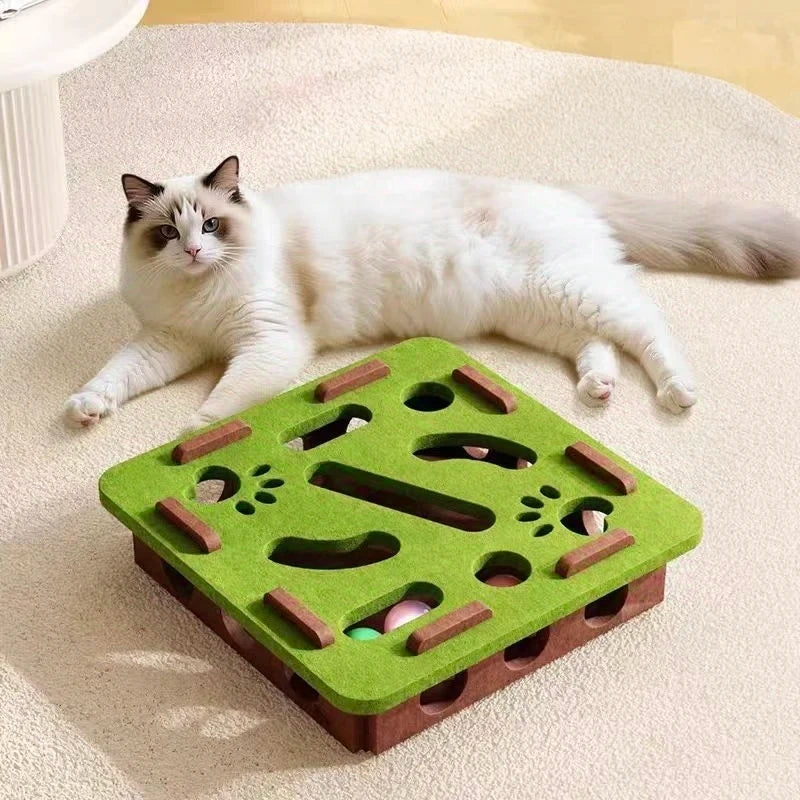Curious Cat Interactive Maze Toy