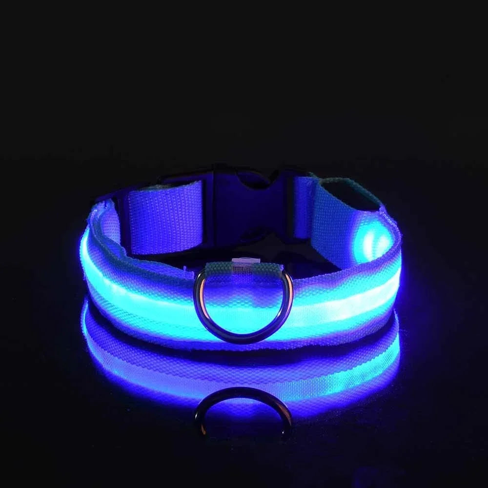 Paw Beacon Glow Dog Collar