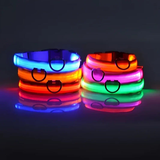 Paw Beacon Glow Dog Collar