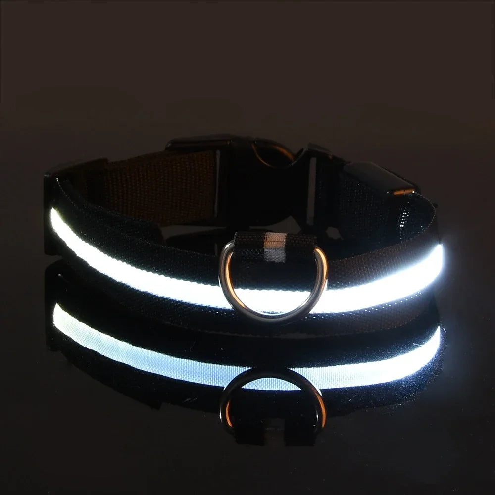 Paw Beacon Glow Dog Collar