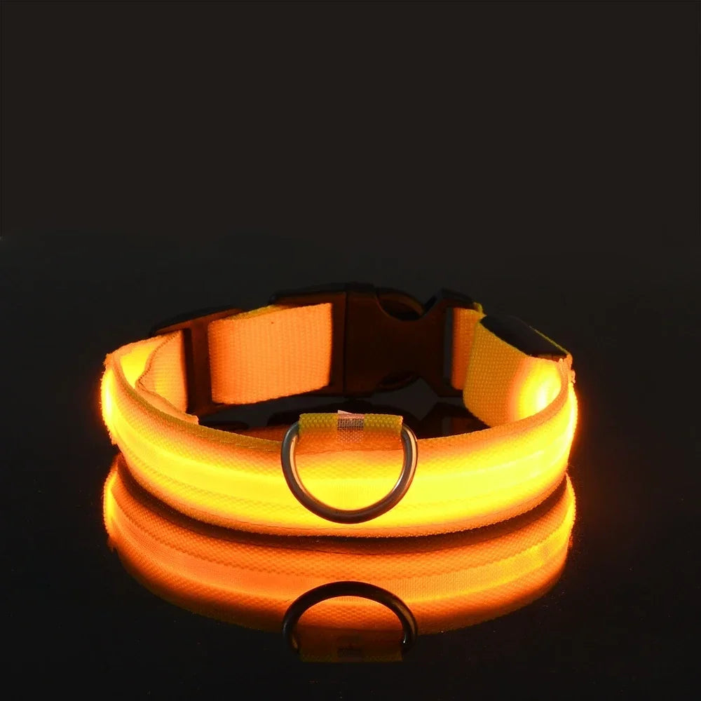 Paw Beacon Glow Dog Collar