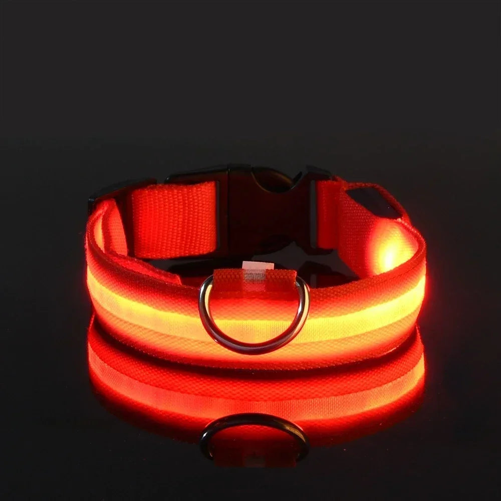 Paw Beacon Glow Dog Collar