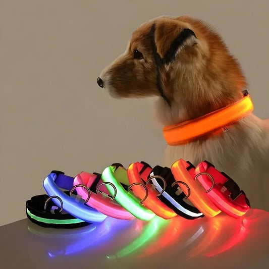 Paw Beacon Glow Dog Collar