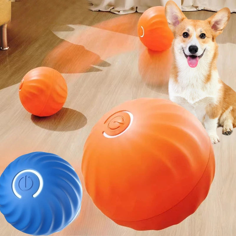 Smart Fetch Interactive Ball