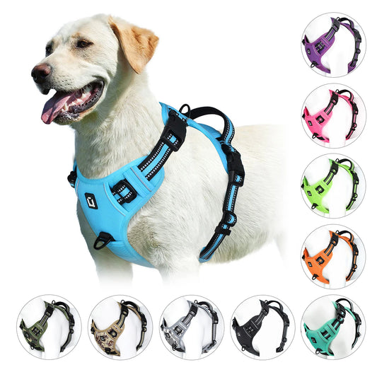 ControlFit Padded Dog Harness