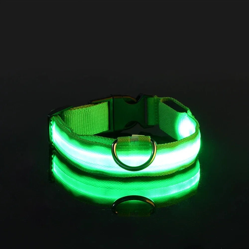 Paw Beacon Glow Dog Collar