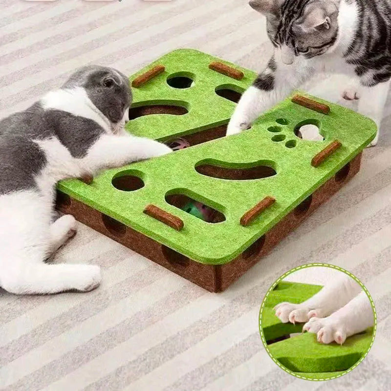 Curious Cat Interactive Maze Toy
